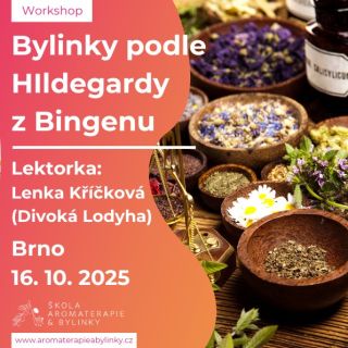 Zajímá Vás příroda a léčivé rostliny? Zveme Vás 16. října 2025 na workshop Byliny podle Hildegardy z Bingenu v Brně...