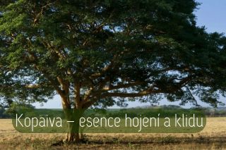 Vzdělávací okénko! Nový článek na blogu na náš oblíbený a nepříliš známý éterický olej KOPAIVA:...