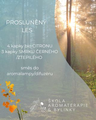 Mlha, šero, blátivo… Doma si ale můžeme díky vůním kdykoliv vykouzlit PROSLUNĚNÝ LES. 🌲✨ Máme pro vás rychlou a ověřenou...