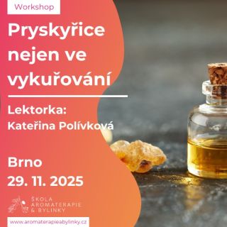 Už příští sobotu v Brně! Velký praktický workshop, na kterém se dozvíte o účincích 20 různých pryskyřic! Domů si odnesete...